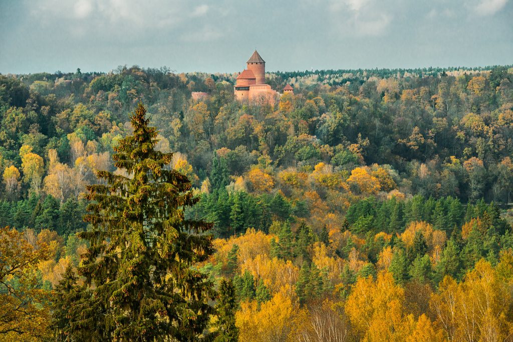 Turaidas pils zelta rudenī ar egli / Turaida Castle, Gauja National Park